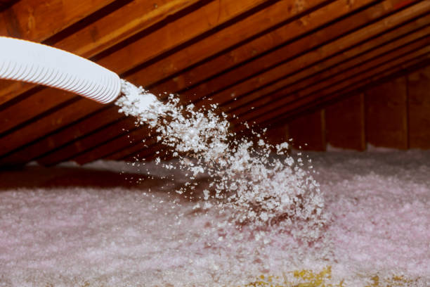 Best Energy Efficiency Solutions in Orida City, FL