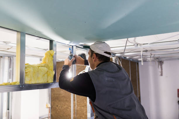 Best Insulation for Specific Applications in Orida City, FL