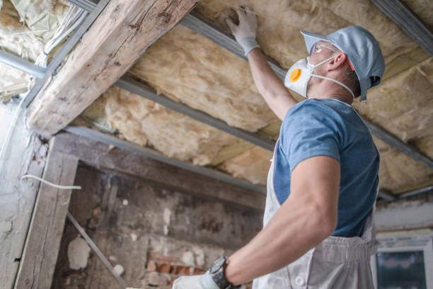 Best Insulation Installation Services in Orida City, FL